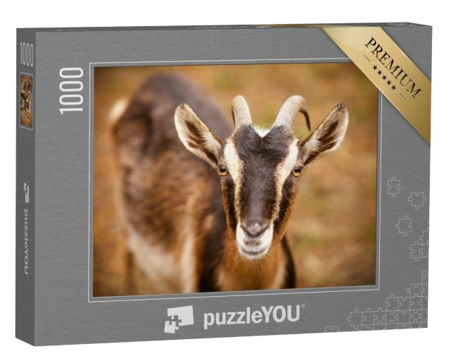 Puzzle 1000 Teile „Porträt einer Ziege auf einem Bauernhof “