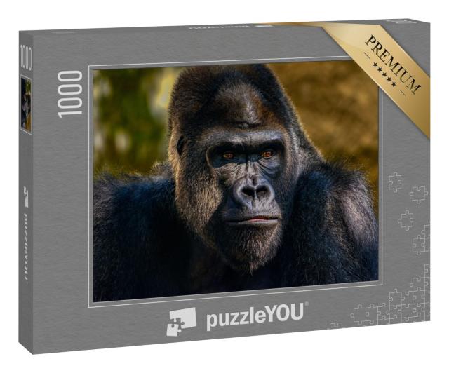 Puzzle 1000 Teile „Portrait eines Silberrücken-Gorillas“