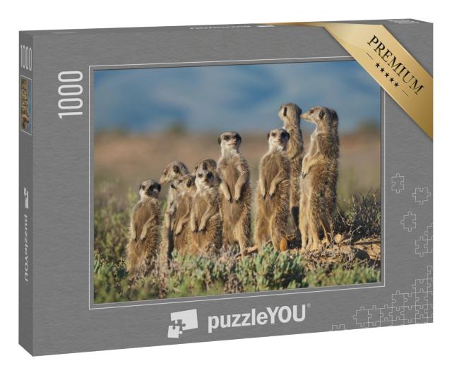 Puzzle 1000 Teile „Erdmännchen-Familie in Südafrika“