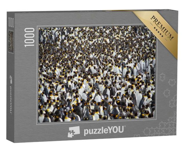 Puzzle 1000 Teile „Riesige Kolonie von Königspinguinen“