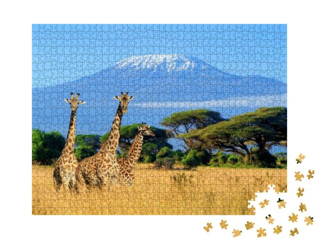 Puzzle 1000 Teile „Giraffen am Kilimandscharo, Bild aus dem Nationalpark in Kenia“