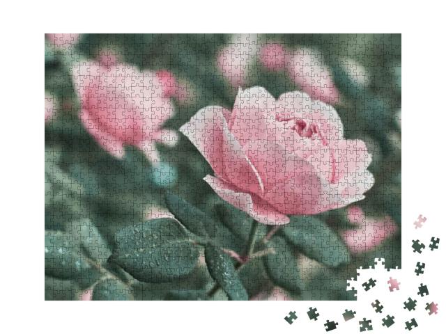 Puzzle 1000 Teile „Rosa Rosen in der Natur“
