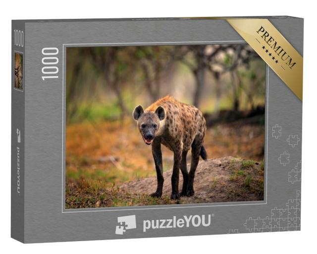Puzzle 1000 Teile „Tüpfelhyäne auf der Suche nach Beute, Okavango, Botswana“