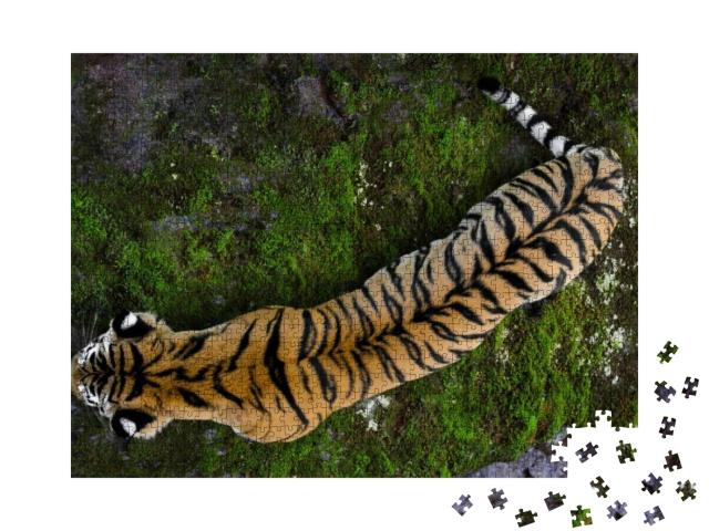 Puzzle 1000 Teile „Ussuritiger, der nördlichste Tiger“