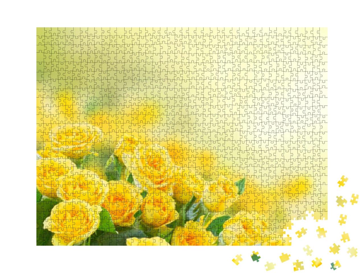 Puzzle 1000 Teile „Frische gelbe Rosen“