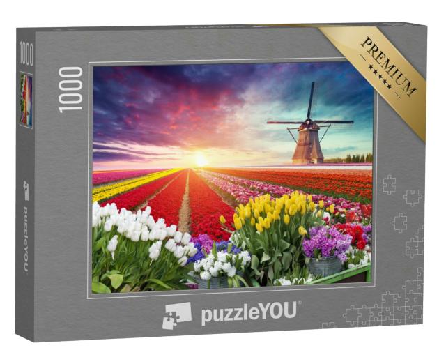 Puzzle 1000 Teile „Landschaft mit Tulpen und Windmühle, Niederlande“