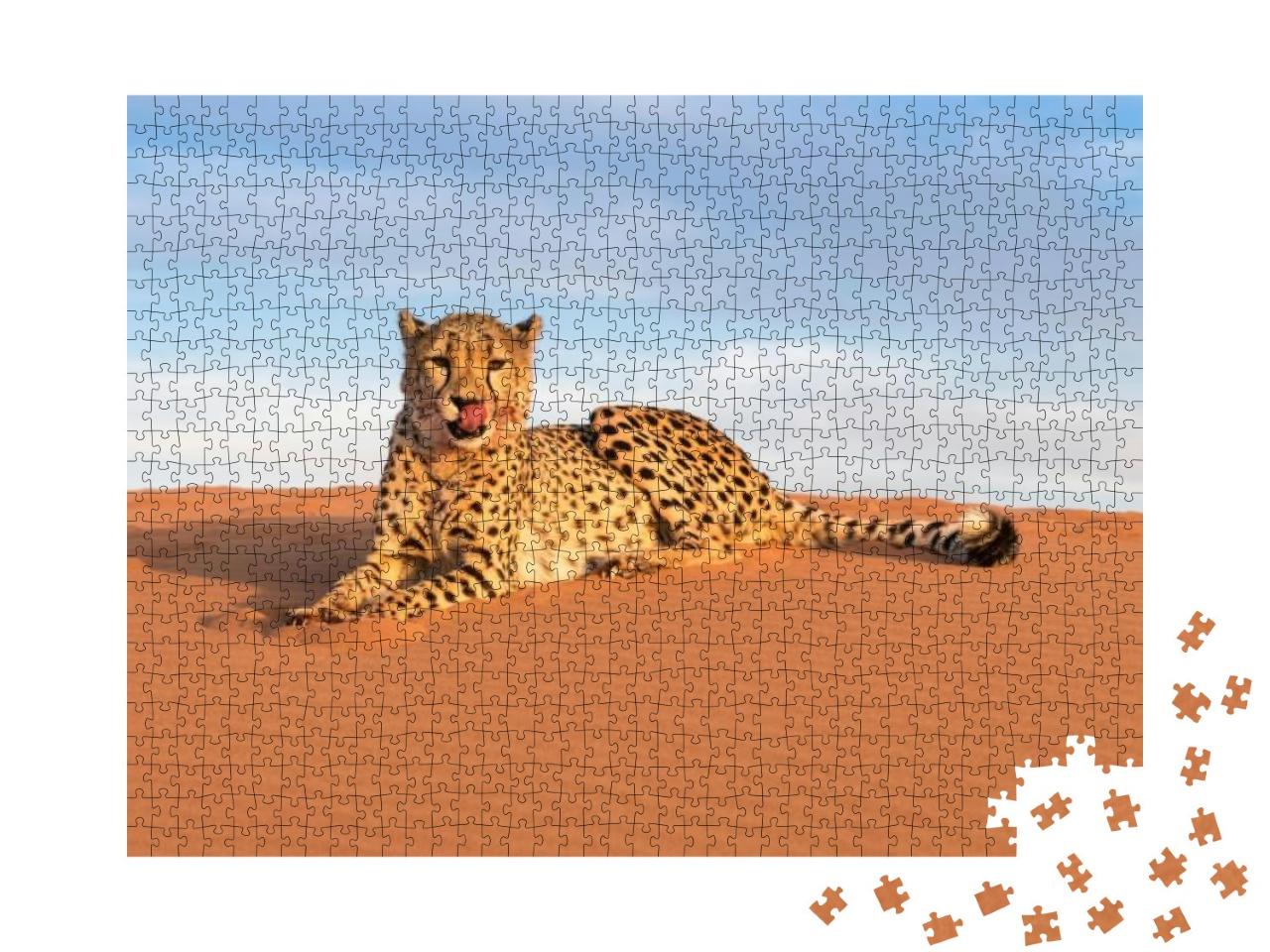 Puzzle 1000 Teile „Gepard im Kanaan N/a'an ku se Desert Retreat Camp“