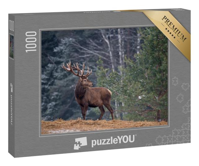 Puzzle 1000 Teile „Stolzer Hirsch mit großen Geweih, einsam im Wald“