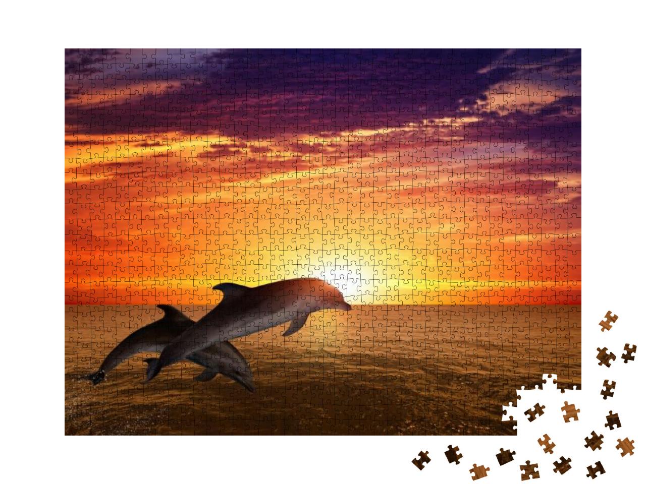 Puzzle 1000 Teile „Springende Delfine: Meeresleben bei Sonnenuntergang“
