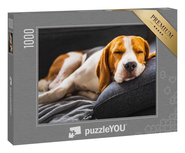 Puzzle 1000 Teile „Ein Beagle auf dem Sofa “