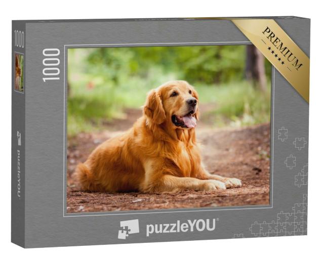 Puzzle 1000 Teile „Porträt eines Golden Retrievers“