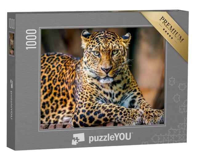Puzzle 1000 Teile „Porträt eines Leoparden“