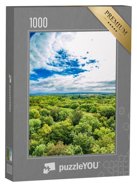 Puzzle 1000 Teile „Alte Buchenwälder des Nationalparks Hainich, Deutschland“