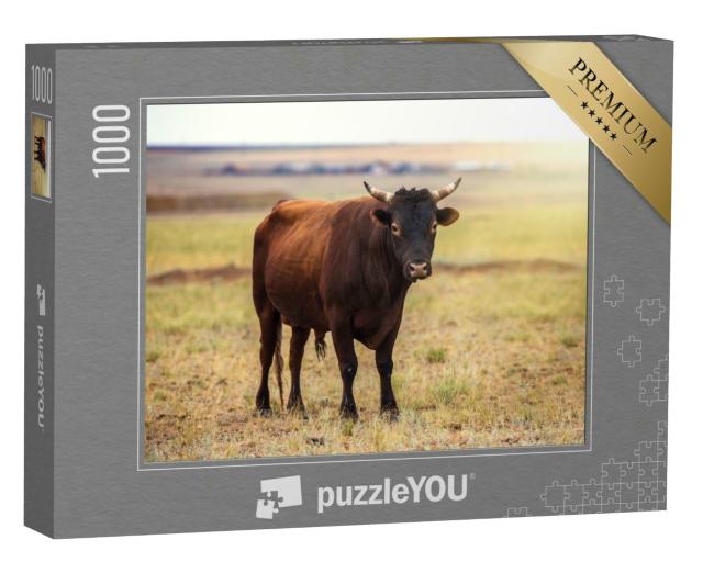Puzzle 1000 Teile „Porträt eines braunen Bullen auf einem Feld“