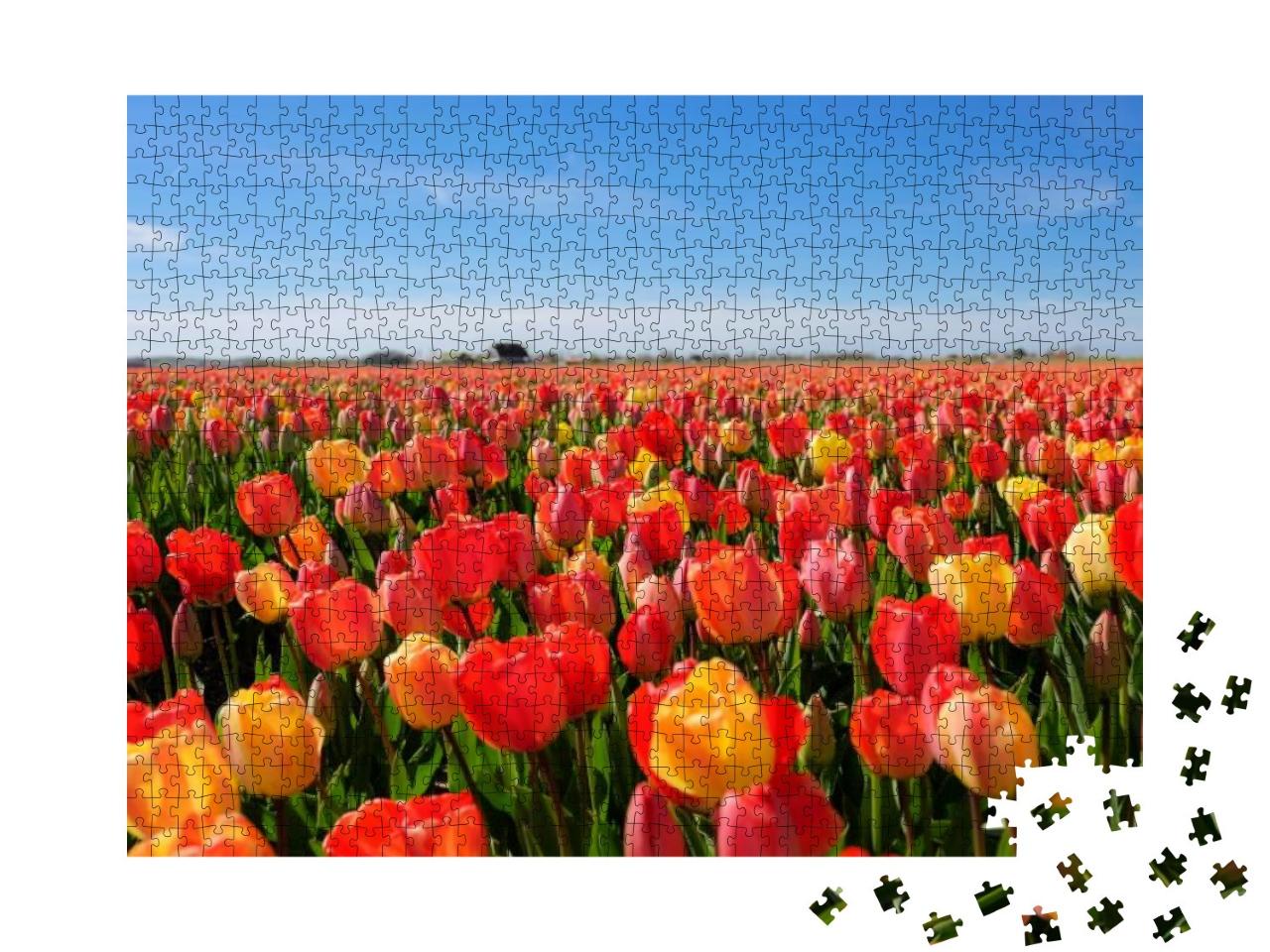 Puzzle 1000 Teile „Tulpenfeld, Niederlande“