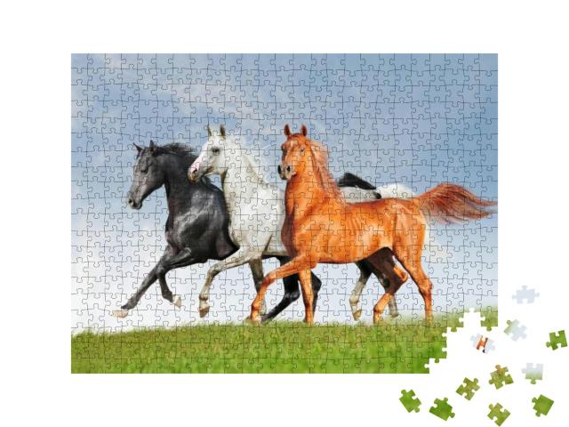 Puzzle 500 Teile „Drei Araber-Pferde“