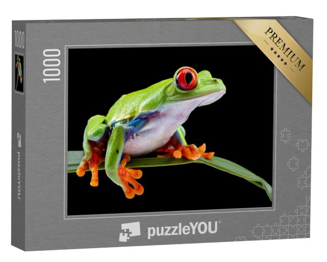 Puzzle 1000 Teile „Rotäugiger Laubfrosch auf einem Blatt“
