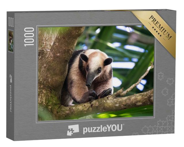 Puzzle 1000 Teile „Der Baumameisenbär in Costa Rica“