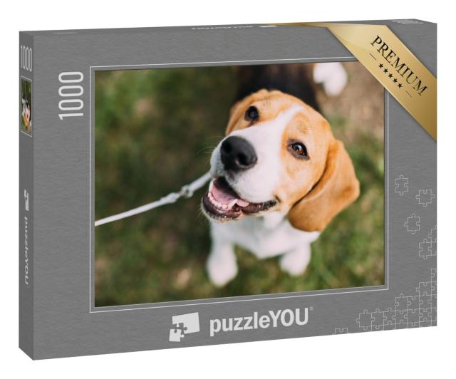 Puzzle 1000 Teile „Ein Beagle-Welpe auf dem Gras“