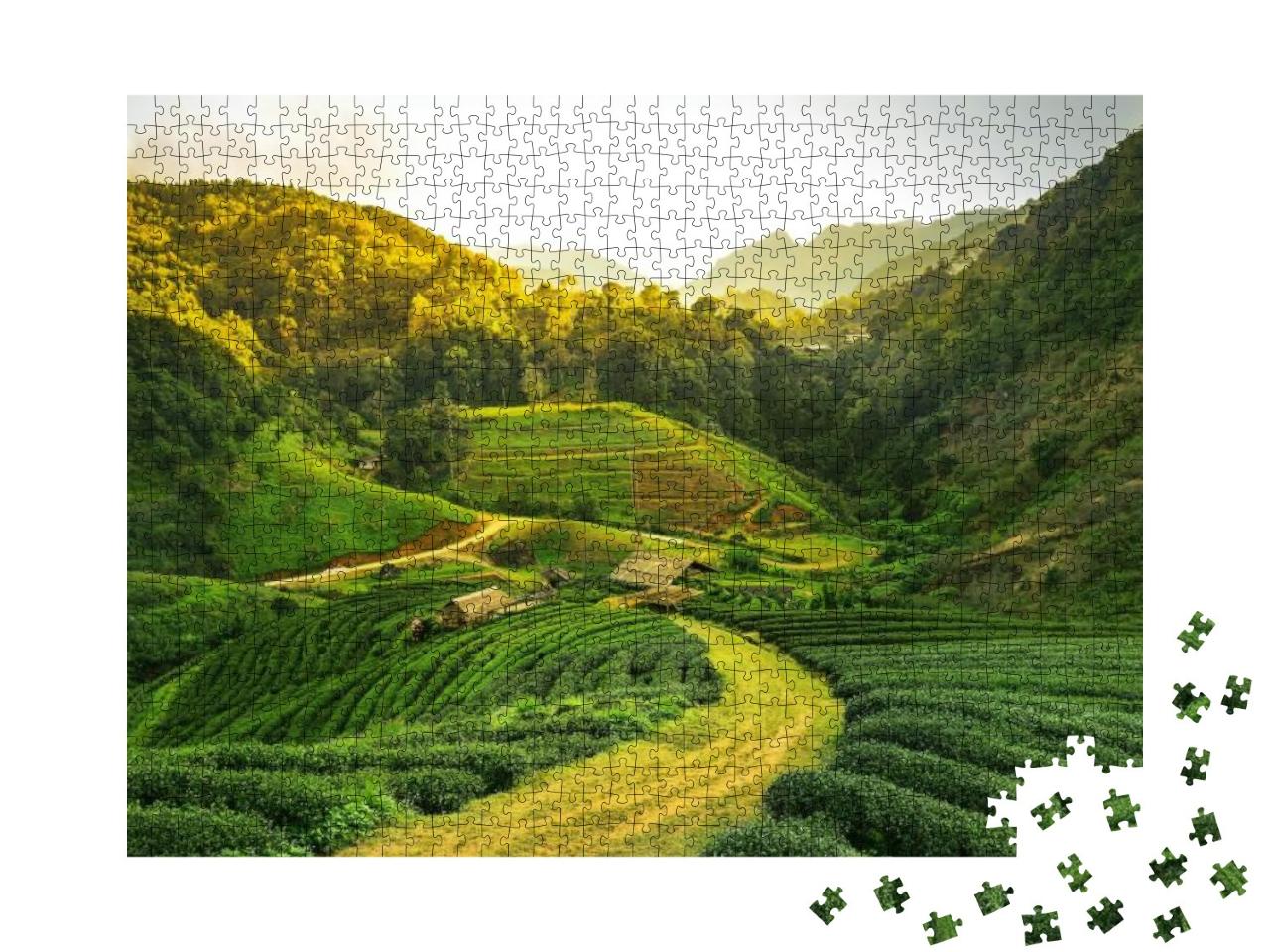Puzzle 1000 Teile „Blick auf eine Teeplantage bei Sonnenaufgang“