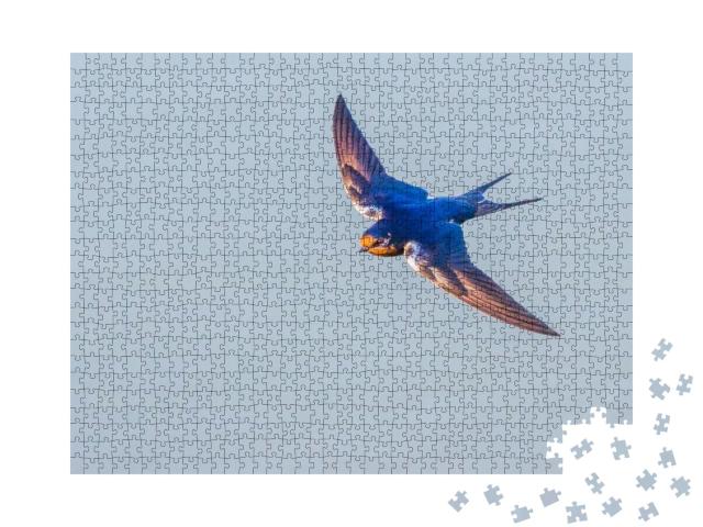 Puzzle 1000 Teile „Rauchschwalbe im anmutigen Flug“