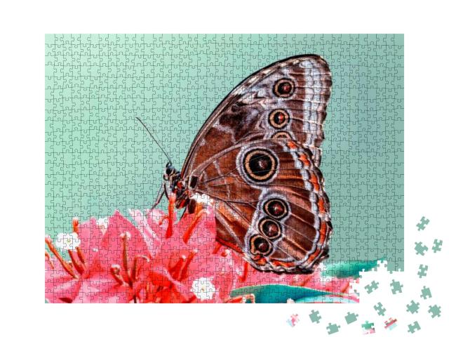 Puzzle 1000 Teile „Ein Schmetterling“