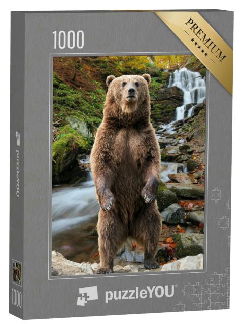 Puzzle 1000 Teile „Ein Braunbär im Herbstwald “