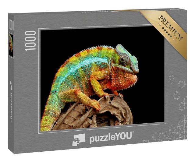 Puzzle 1000 Teile „Chamäleon Panther auf trockenen Blättern“
