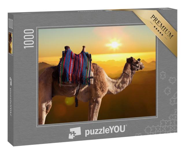 Puzzle 1000 Teile „Dromedar-Kamel vor dem Berges des heiligen Moses, Ägypten, Sinai“