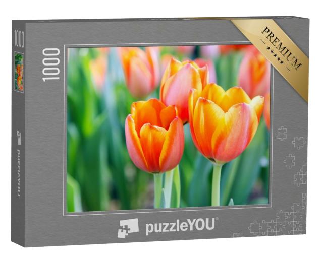 Puzzle 1000 Teile „Leuchtende Tulpen“