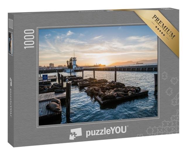 Puzzle 1000 Teile „Seelöwen am Pier 39, San Francisco, Kalifornien, USA“