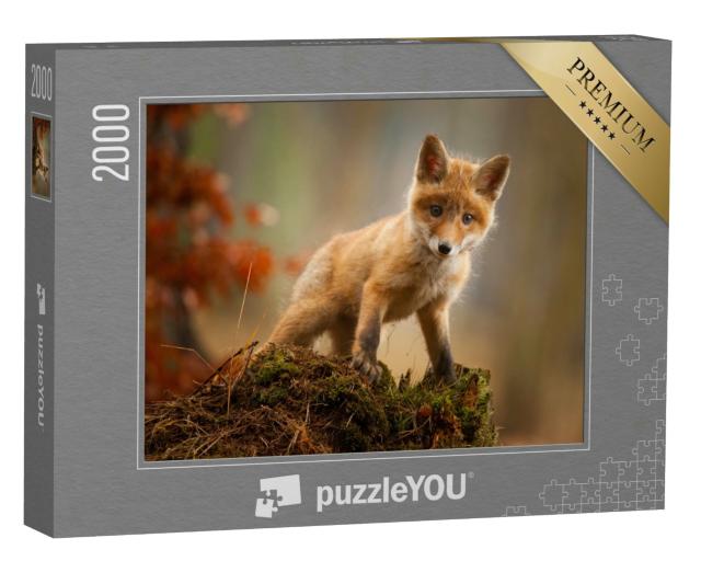 Puzzle 2000 Teile „Ein junger Fuchs“