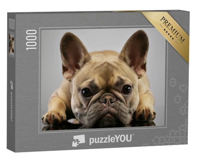 Puzzle 1000 Teile „Porträt einer liebenswerten französischen Bulldogge“