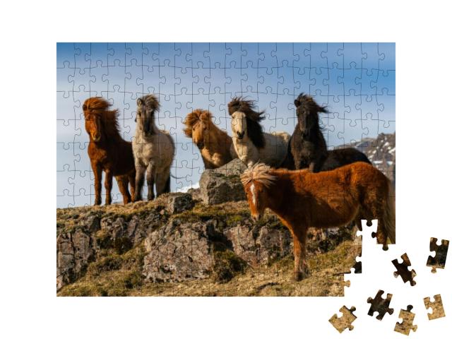 Puzzle 200 Teile „Eine Herde von Island-Pferden im rauhen Wind“