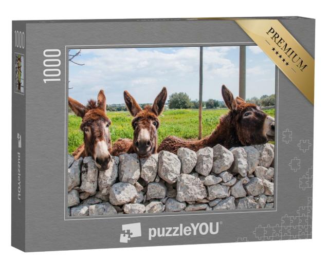 Puzzle 1000 Teile „Esel blicken durch eine Steinmauer, Modica“