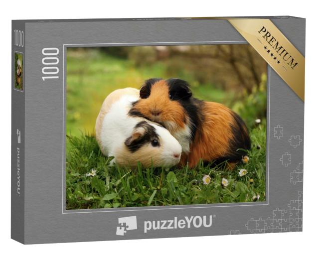 Puzzle 1000 Teile „Meerschweinchenfreunde“