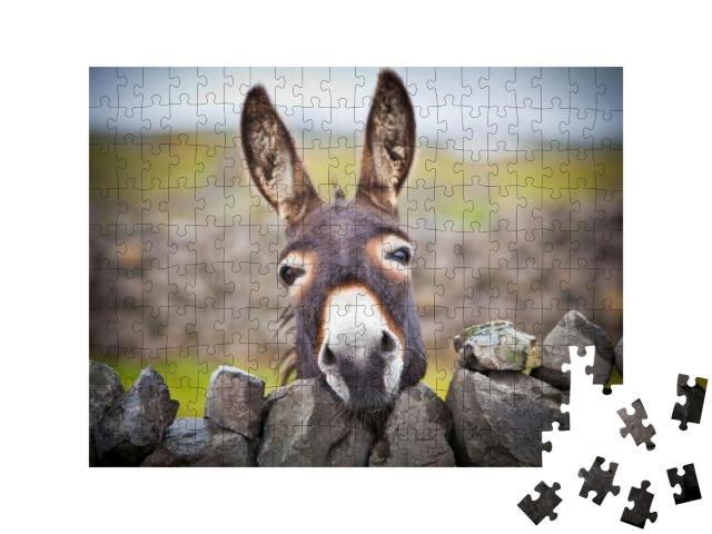 Puzzle 200 Teile „Ein neugieriger Esel“