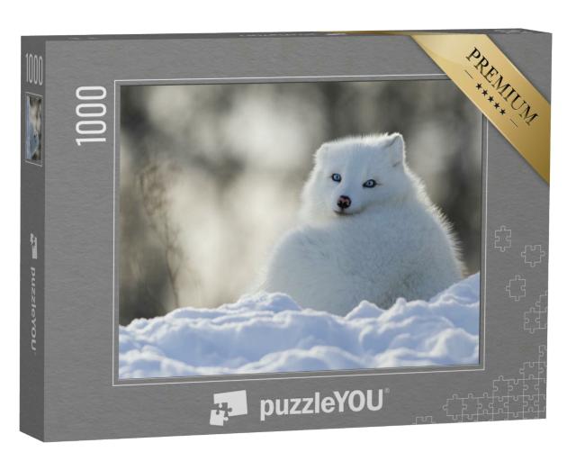 Puzzle 1000 Teile „Polarfuchs mit stechend blauen Augen“