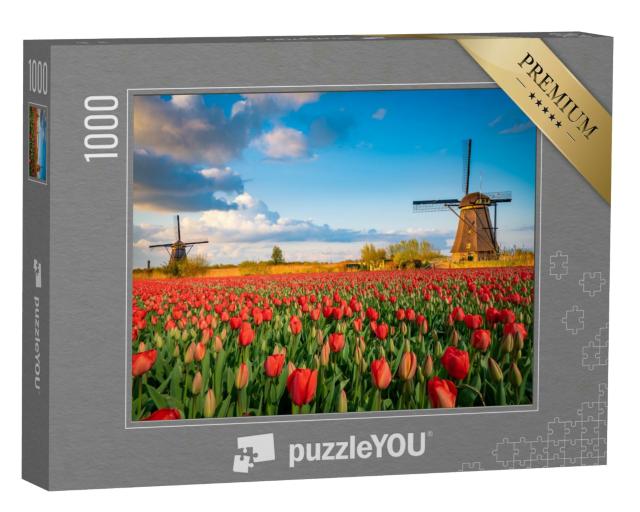 Puzzle 1000 Teile „Niederländische Landschaft mit Windmühlen und Tulpenblüten“