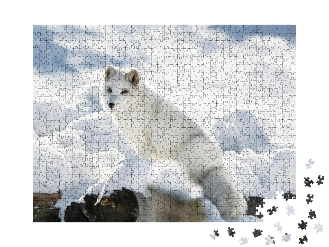Puzzle 1000 Teile „Polarfuchs auf einem Hügel im Omega Park, Quebec, Kanada“