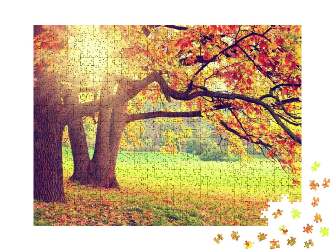 Puzzle 1000 Teile „Herbstlandschaft mit alten Bäumen“