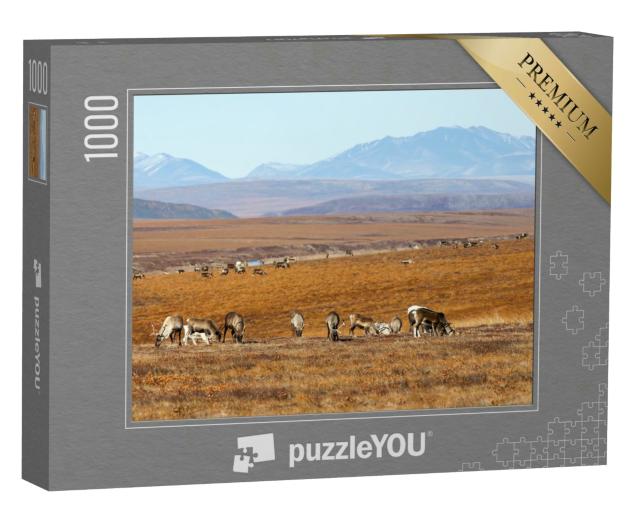 Puzzle 1000 Teile „Rentierherde inmitten der arktischen Winterlandschaft, Tschukotka, Sibirien“