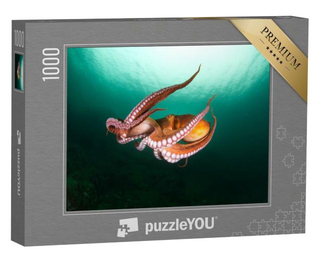 Puzzle 1000 Teile „Flug der Tintenfische in der Tiefsee“