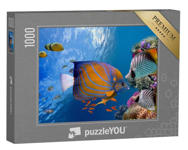 Puzzle 1000 Teile „Zauberhafte Unterwasserwelt, Rotes Meer“