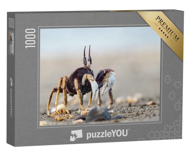 Puzzle 1000 Teile „Neugierige Krabbe am Sandstrand“