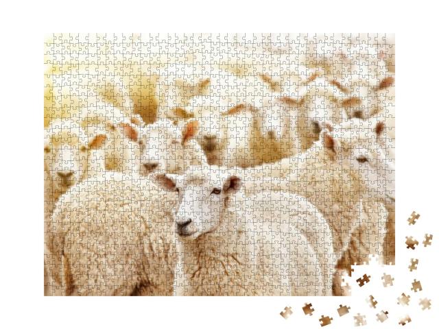 Puzzle 1000 Teile „Nahaufnahme einer Schafherde “