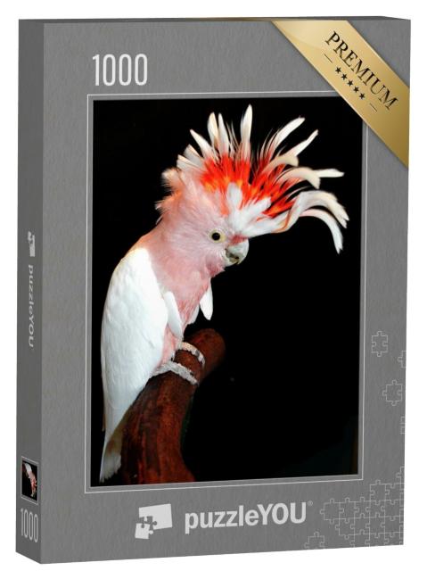 Puzzle 1000 Teile „Rosakakadu aus Australien“