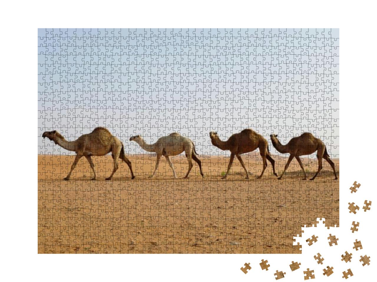 Puzzle 1000 Teile „Dromedarkamelen durchqueren Wüste“