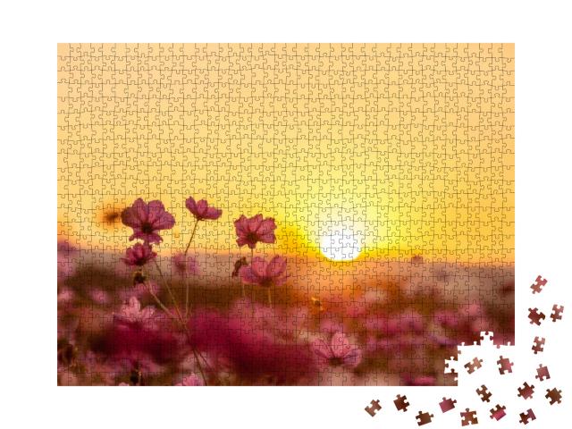 Puzzle 1000 Teile „Rosa Cosmea-Blüten auf dem Feld im Sonnenuntergang“