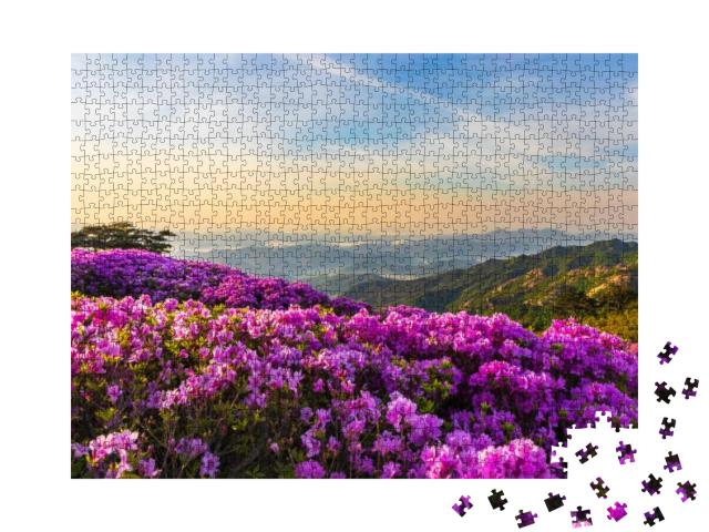 Puzzle 1000 Teile „Rosa Azaleenblüten auf dem Berg Hwangmaesan“